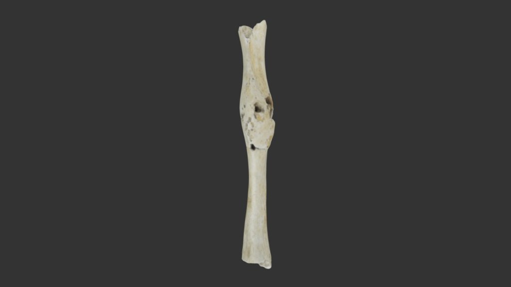 CA3-6H photoscan textured model