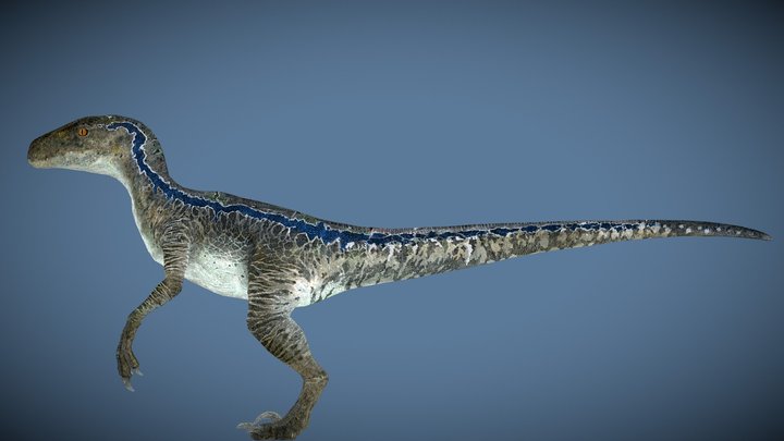 Jurassic World 2015 Blue the Velociraptor – Free 3D Model STL