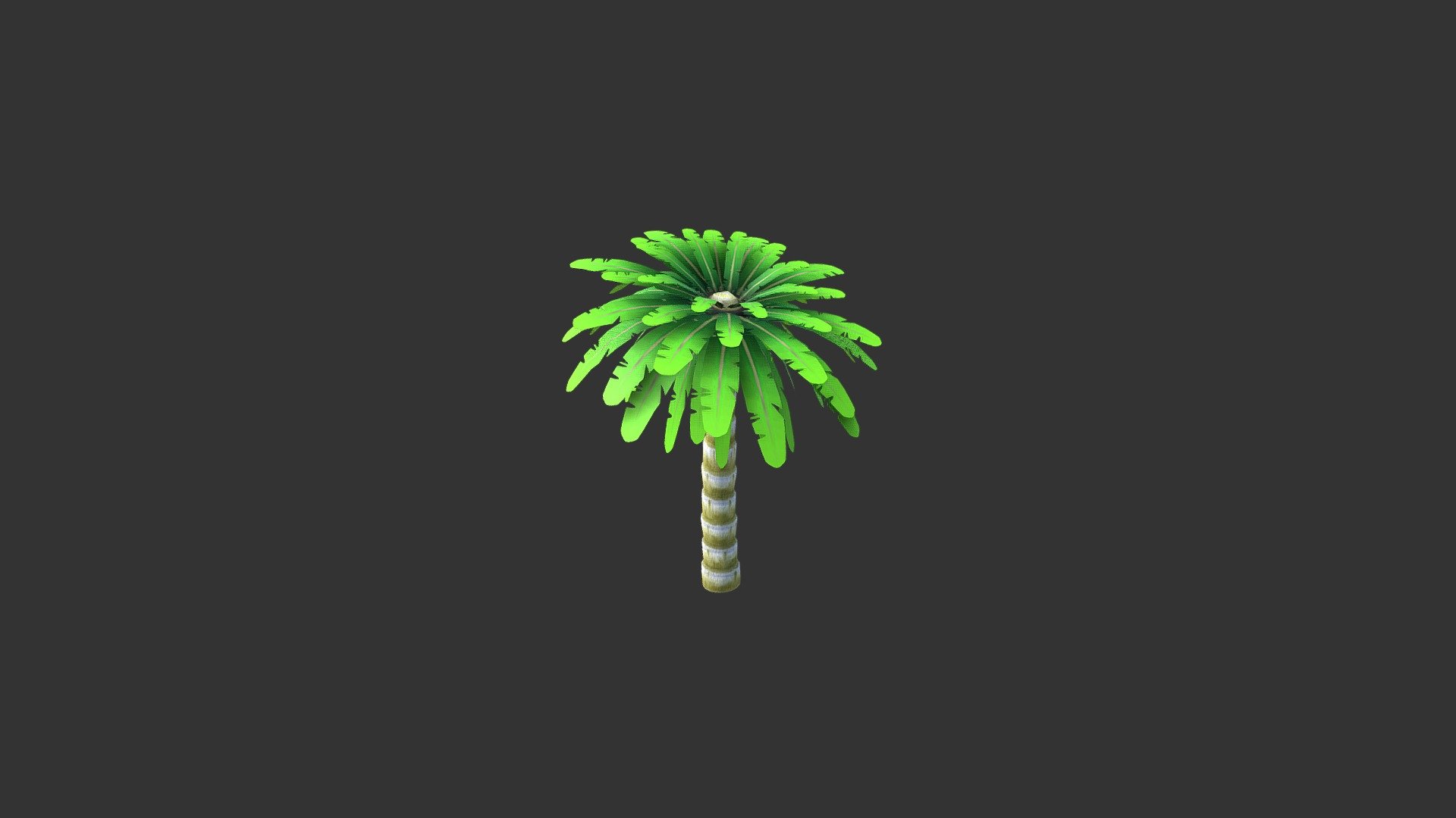 Palmera2
