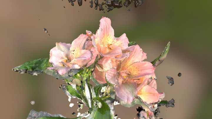PROVA-FIORE 3D Model