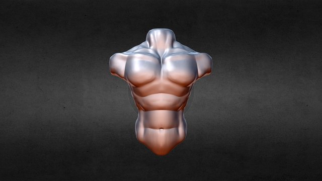 torso3