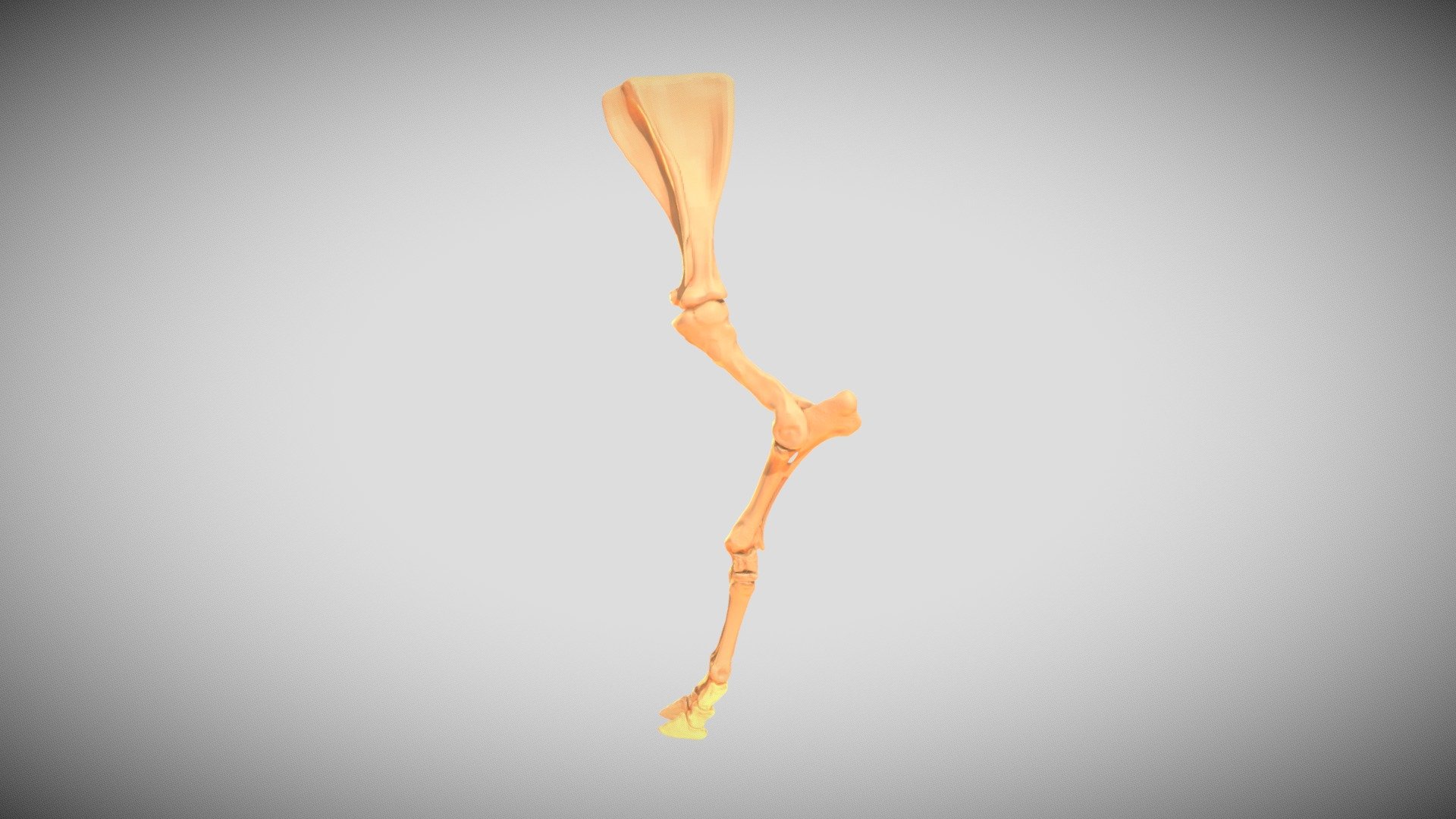 Front-Leg_Animation