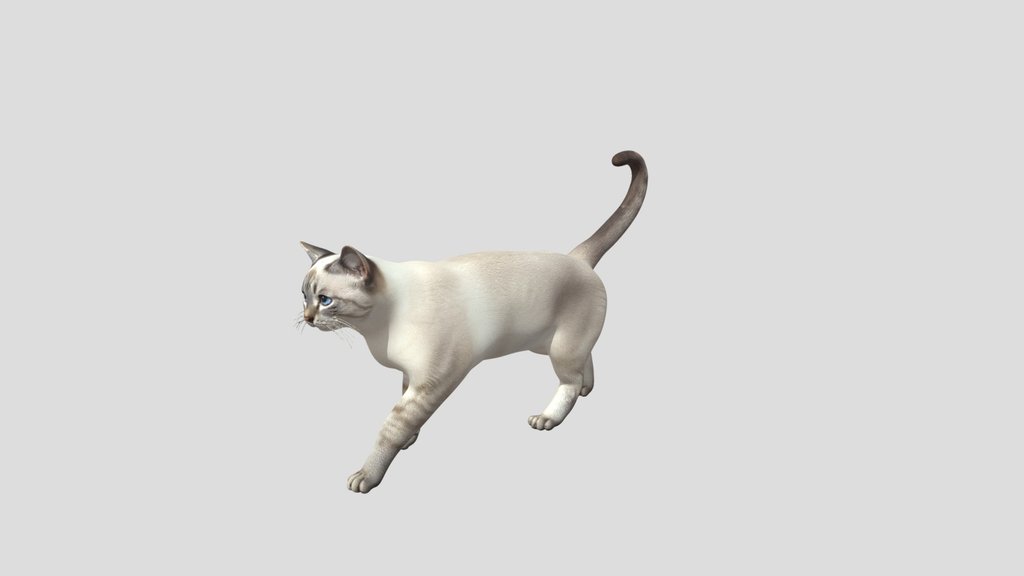Siamese In Motion