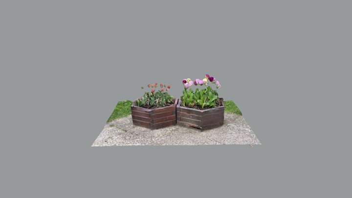 Blumen 3D Model
