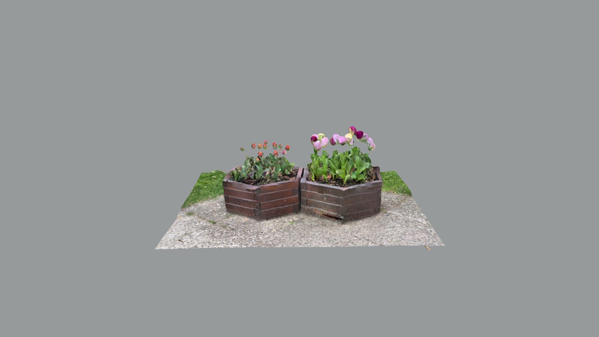 Blumen