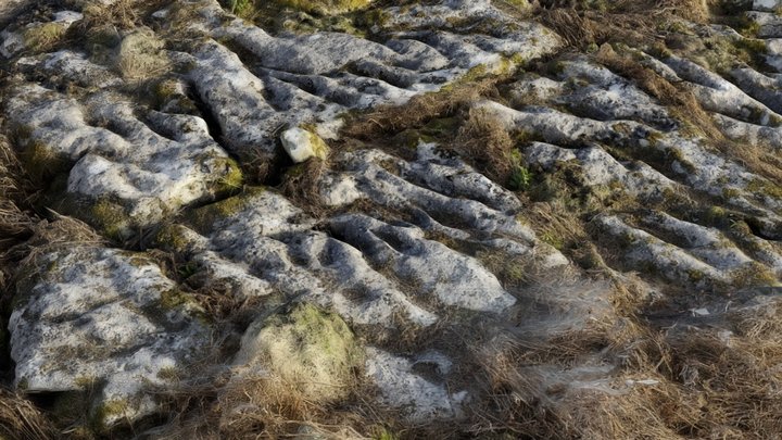 Birkrigg 'Cart Ruts' – Modèle 3D gratuit STL