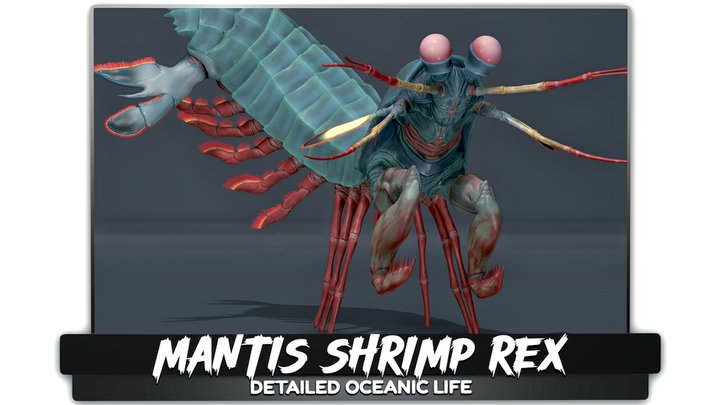 Mantis Shrimp - Rex Rainbow Peacock - #52 3D Model