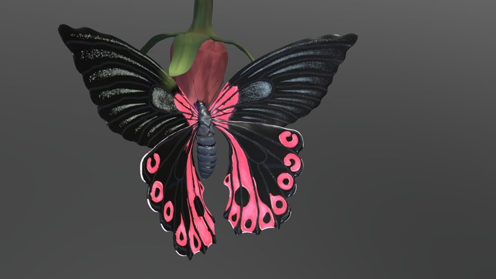 Butterfly 3D Model