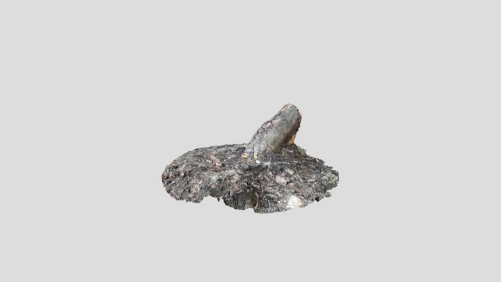 Burnt Stump – Free 3D Model STL