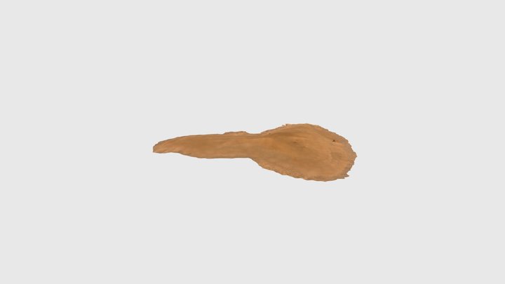 Barchan two 3D Model