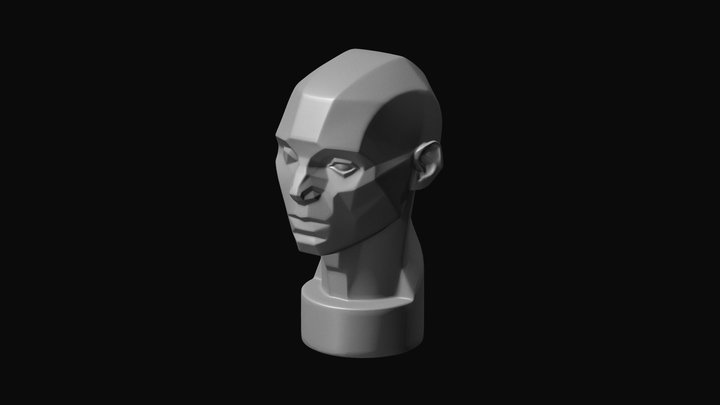 Asaro-head 3D Model
