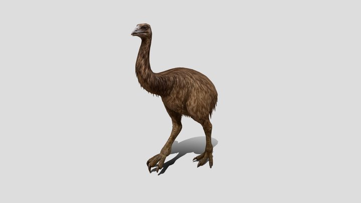 Giant Moa Big Bird 3d model free