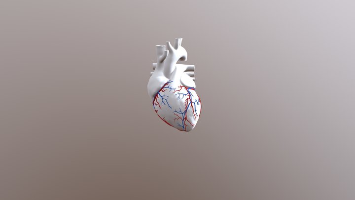 Heart Test3 3D Model
