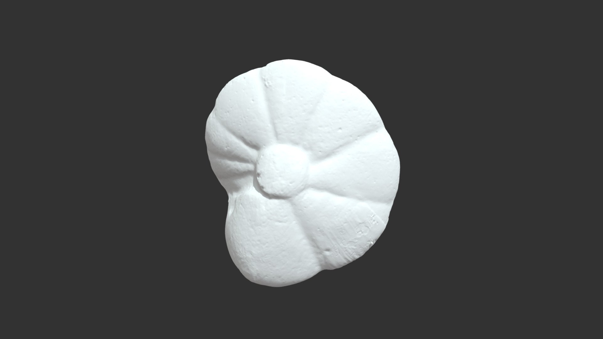 Rotalina rosea (206555) - 3D model by Photo3D (@vect3d) [27a663c ...