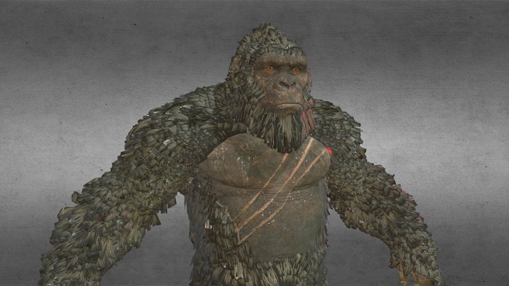 Kong2021 3D models - Sketchfab