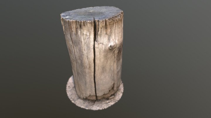 Wood log 3D Model