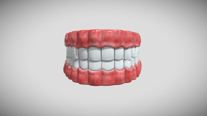 Denture 3D Model