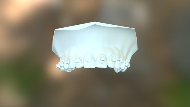 Upper Teeth 3D Model