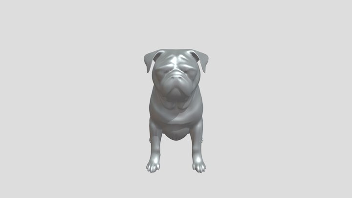 realistic pug dog 3D Model