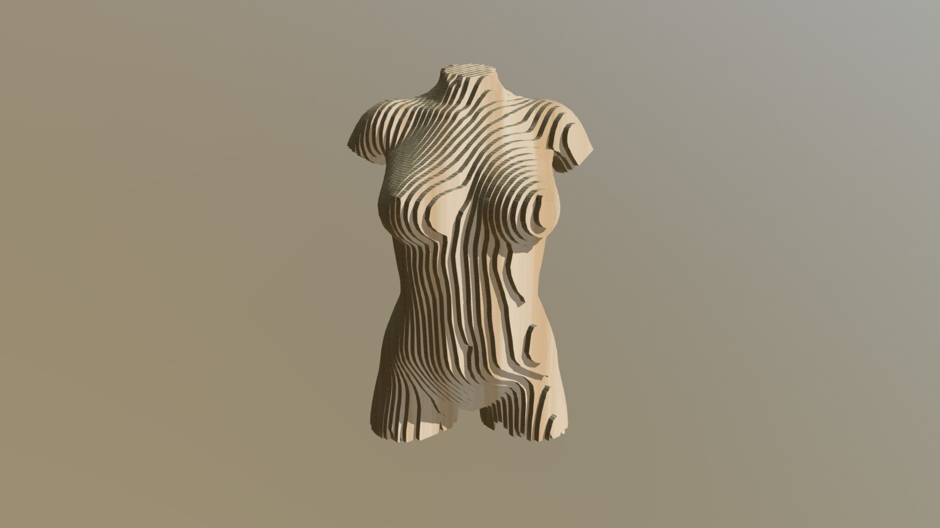 Full Frontal Torso