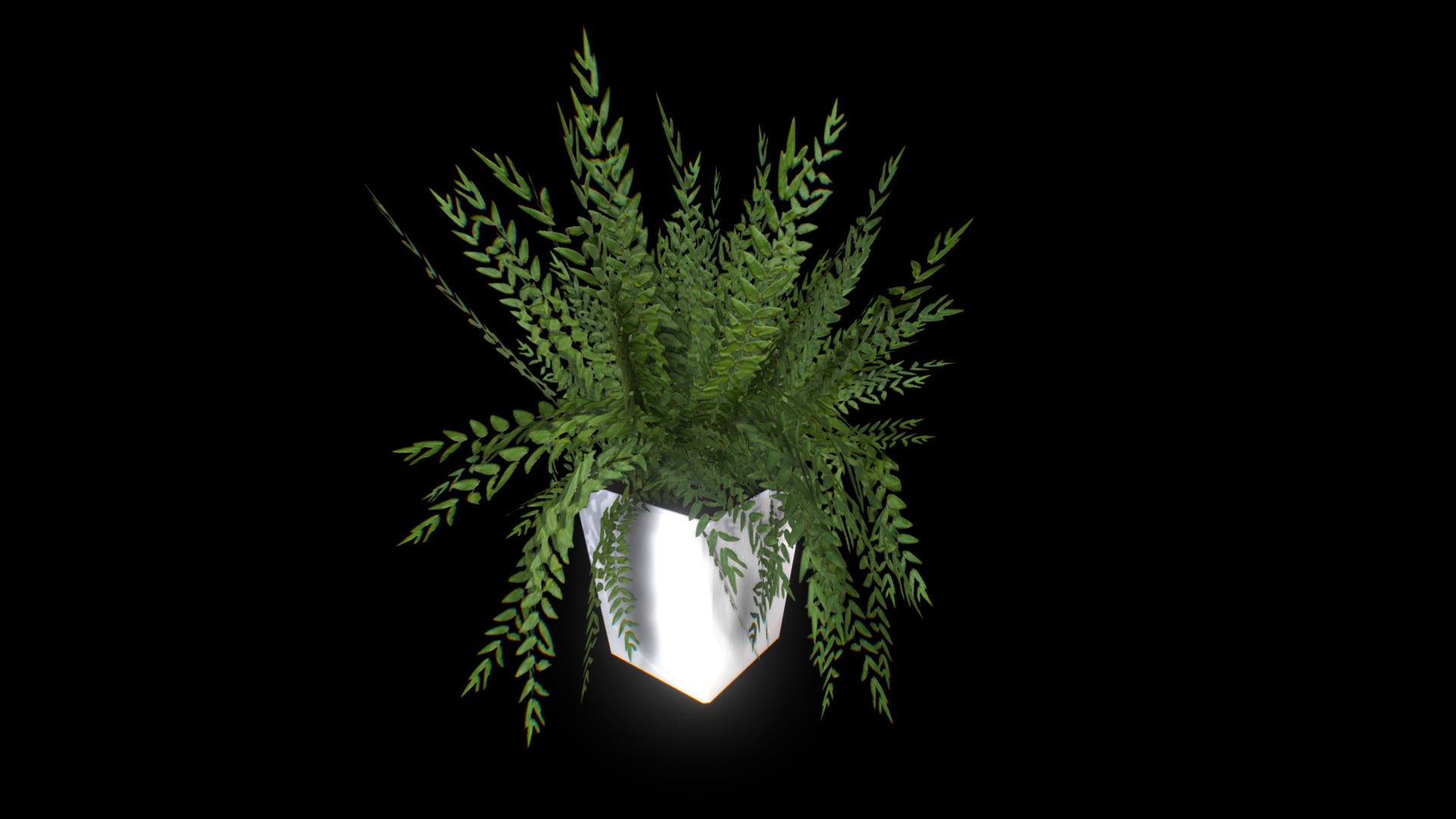 3D model Fern plant - This is a 3D model of the Fern plant. The 3D model is about a plant in a vase.