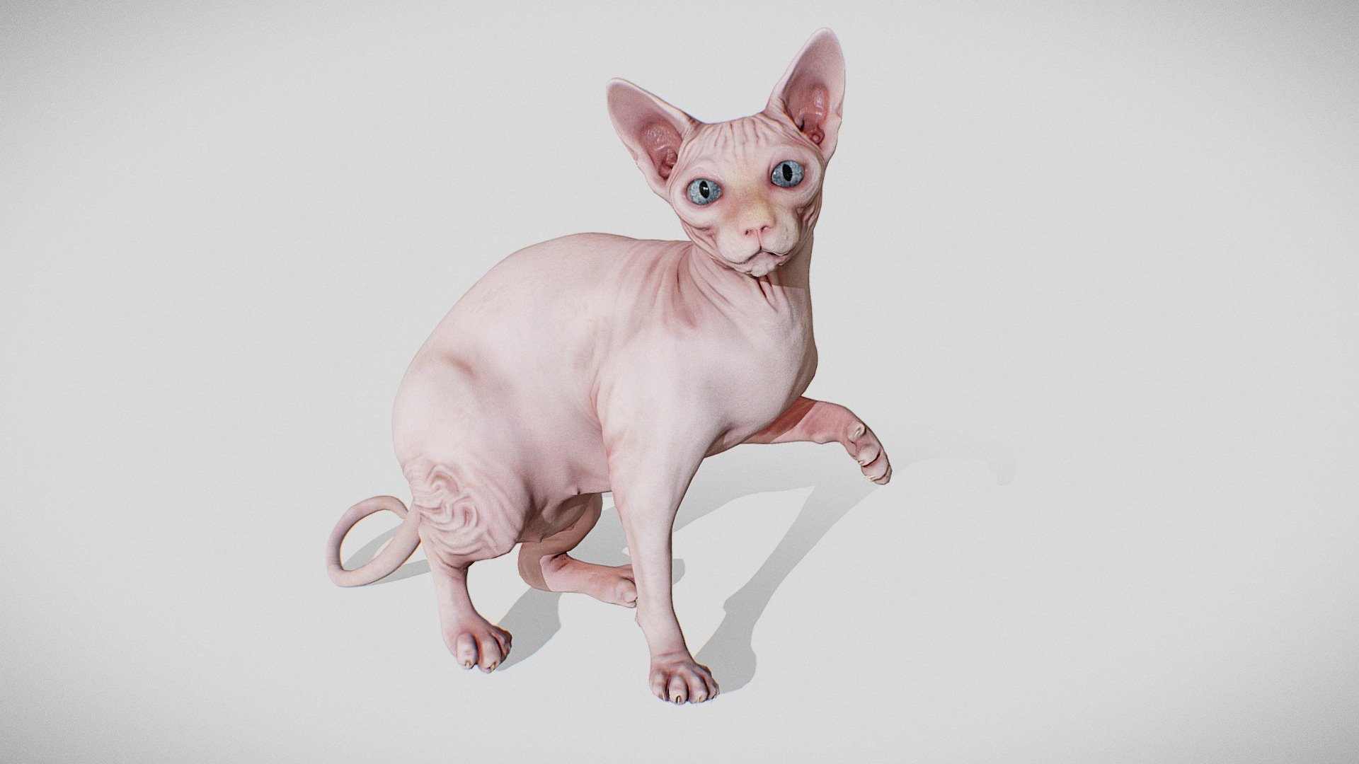 Sphynx - Buy Royalty Free 3D model by Joel Wood (@blackalder) [27b64a3 ...