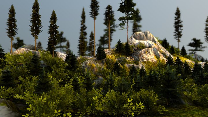 The landscape is a forest in the mountains