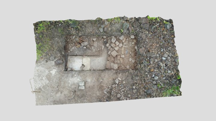 Benemerito Subop 7C 3D Model