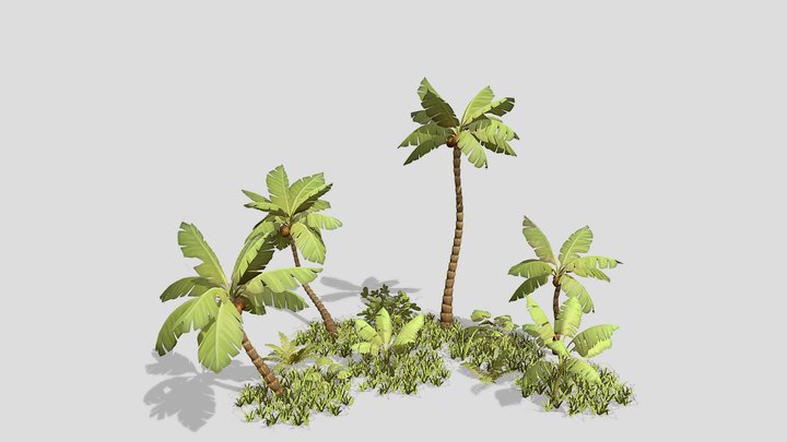 Stylized Tropical Pack 3D Model