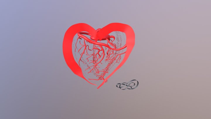 CoolPaintr VR- Heart Fusion 3D Model