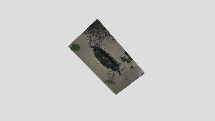 Hulk of Rhoda Mary before the site was cleaned 3D Model