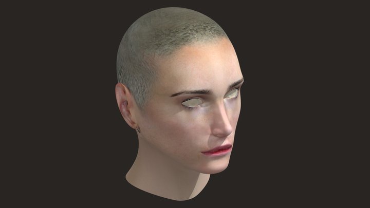 Nose Shape Presentation 3D Model