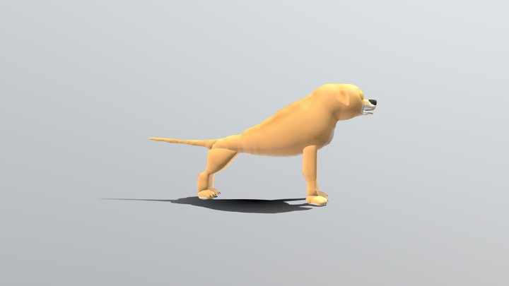 Doggis