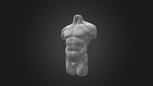 06 Torso 3D Model