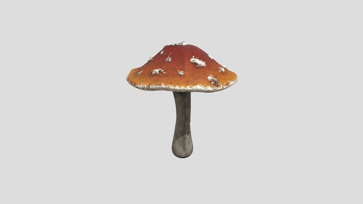 Merged_3DMUSHROOM4 3D Model