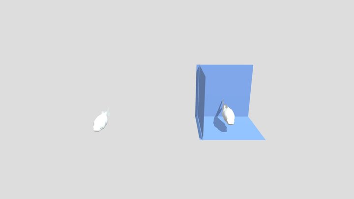 Koi Fish 3D Model