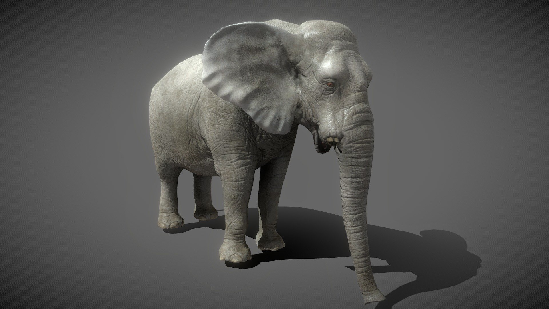 Elephant - 3D model by Lexaan (@DeadlyNoob) [27d5484] - Sketchfab