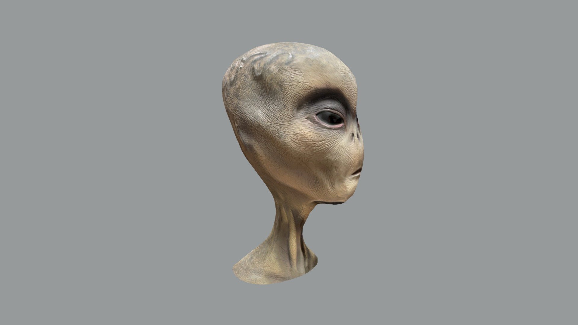 Alien Bus Accident - Download Free 3D model by cdrogers [27d628b ...