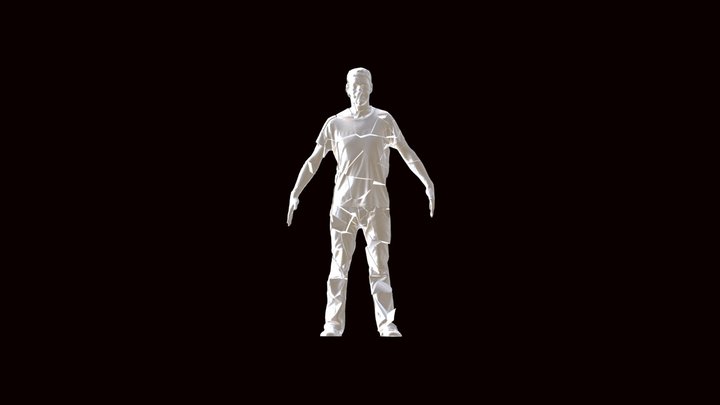 Fractured 3D Model