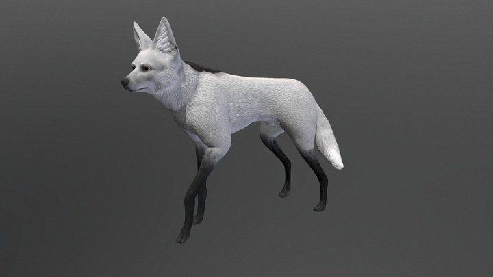 Stylized Maned Wolf 3D Model