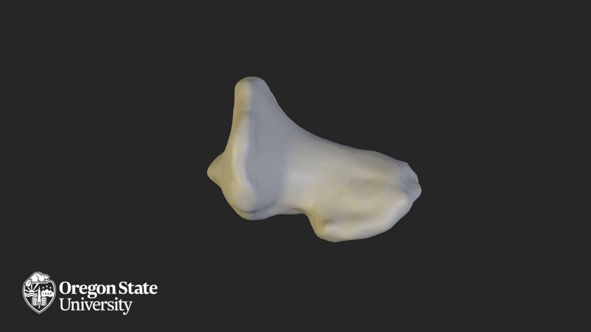 Distal 3