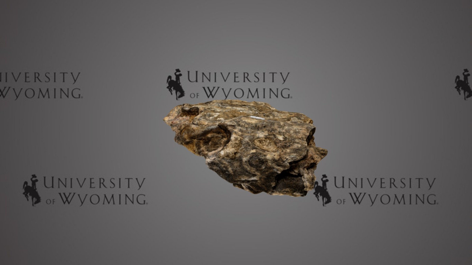 Pseudofossil - Color Bands in Sandstone