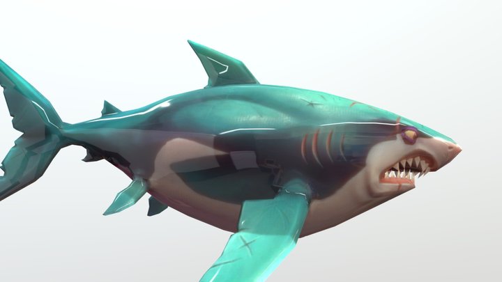 HSW Great White Shark 3D Model