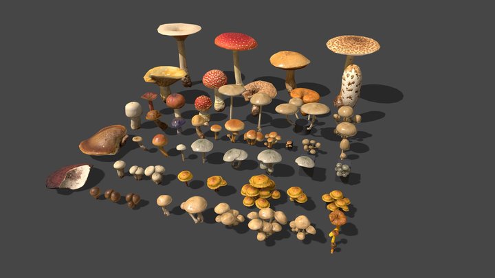 Mushroom Pack 3D Model