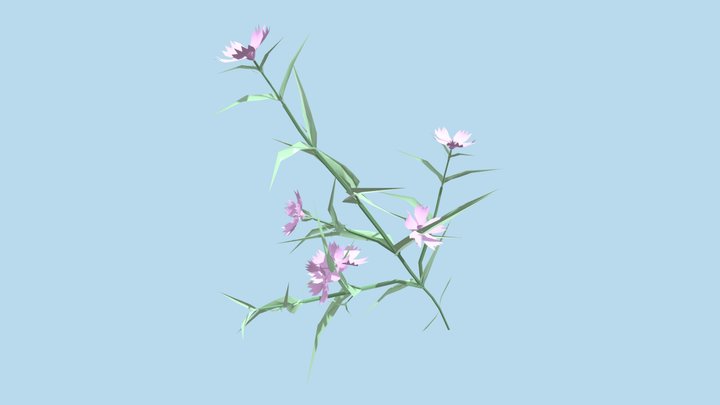 Chinapink 3D Model