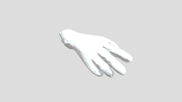 mano 3d 3D Model