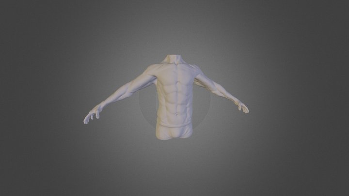 Torso Sculpt 3D Model
