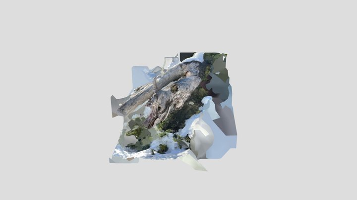 Tronco Blanco Grande 3D Model