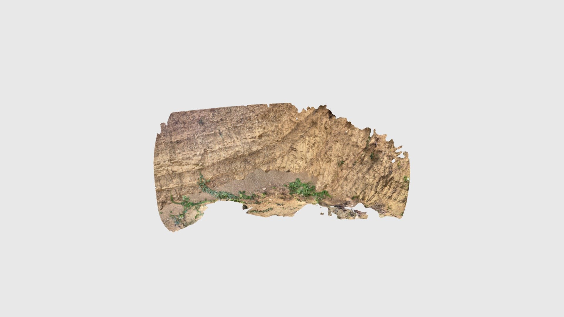 Folded sedimentary rocks