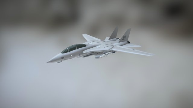 F-14 Tomcat 3D Model